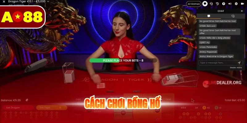 Cách chơi rồng hổ