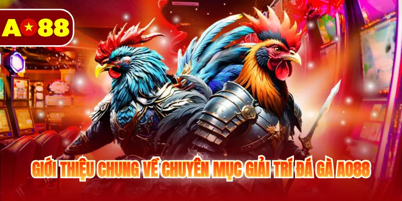 Đá Gà AO88 1 Giới thiệu chung về chuyên mục giải trí đá gà AO88
