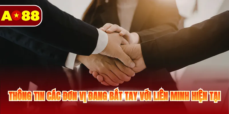 Thông tin các đơn vị đang bắt tay với liên minh hiện tại