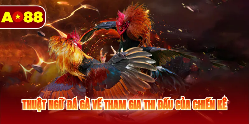Tìm Hiểu Các Thuật Ngữ Đá Gà Cho Thành Viên Mới 2 Thuật ngữ đá gà về tham gia thi đấu của chiến kê