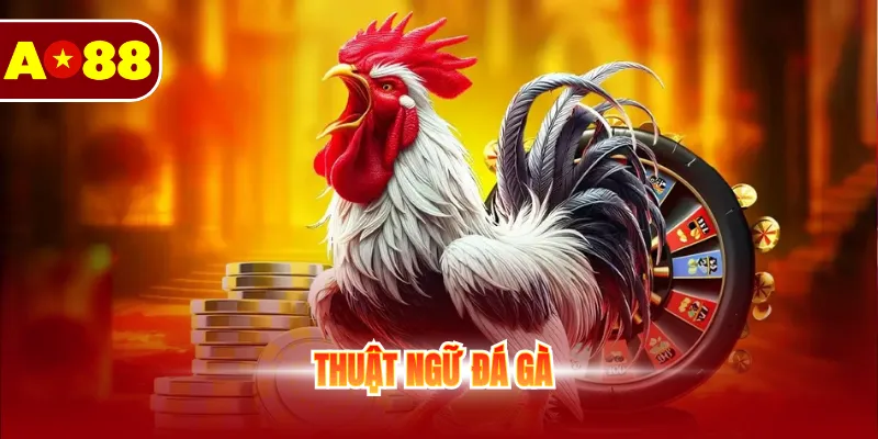 Tìm Hiểu Các Thuật Ngữ Đá Gà Cho Thành Viên Mới 1 thuật ngữ đá gà