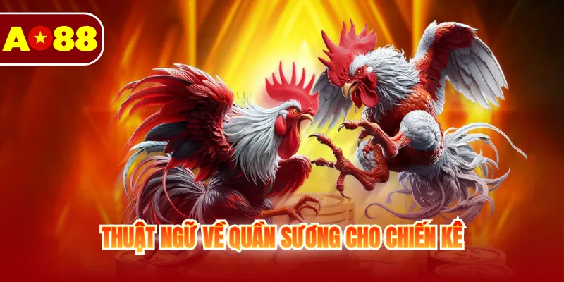 Tìm Hiểu Các Thuật Ngữ Đá Gà Cho Thành Viên Mới 4 Thuật ngữ về quần sương cho chiến kê